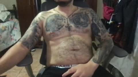 Bearcito online show from August 2026 08:41:02 AM