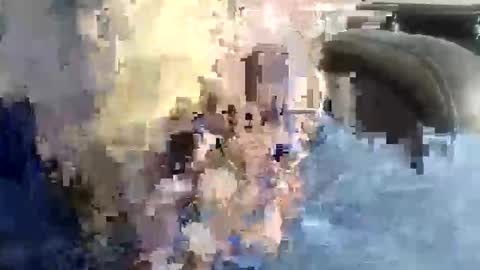 beardhard247 online show from November 2025 08:38:02 PM