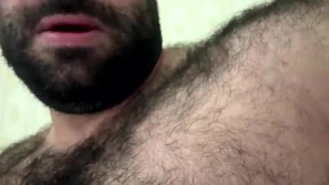 bearplay12 online show from November 2025 11:46:01 PM