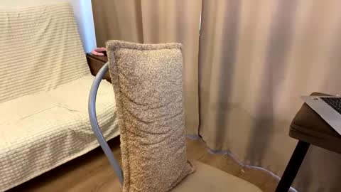 Nik online show from March 2026 12:22:01 PM