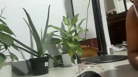 bebesita online show from April 2026 02:27:02 AM