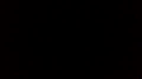 beef_sperm online show from February 2026 03:05:02 PM