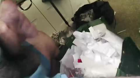 beenallover92 online show from January 2025 02:03:02 PM