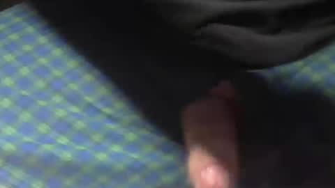  Reservoir Dogs online show from November 2025 07:17:01 AM