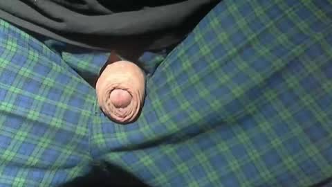  Reservoir Dogs online show from February 2026 02:52:02 AM