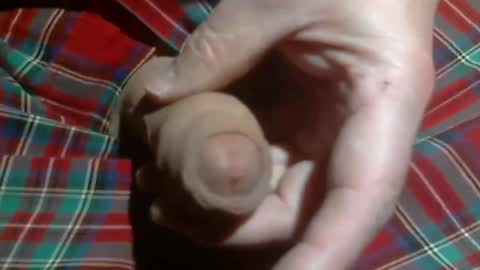  Reservoir Dogs online show from March 2026 04:36:02 AM