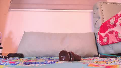 Begonia online show from December 2024 06:32:01 AM