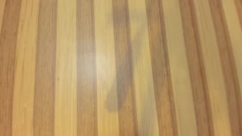 Melanie  online show from March 2026 10:34:02 AM