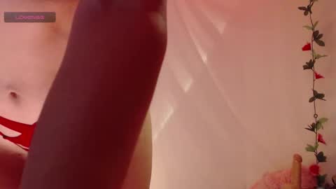 Belladonna  online show from November 2025 03:39:02 AM