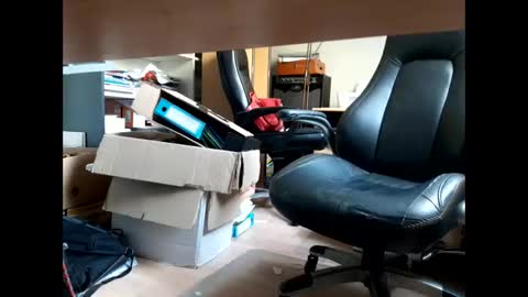 Bellebate online show from April 2026 01:13:02 PM