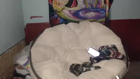 Bent Bunny online show from July 2026 02:53:01 PM