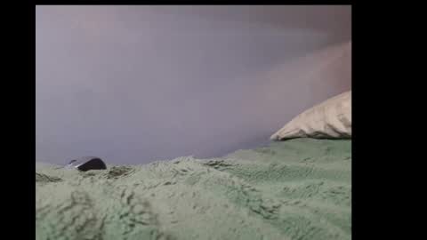 beobenshauna online show from January 2025 05:49:01 AM