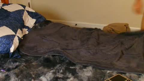 twitter zack1fisher online show from December 2024 02:45:02 AM