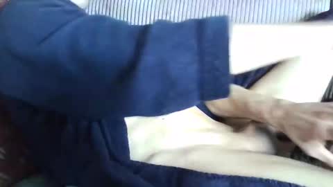 . online show from March 2026 10:53:01 AM