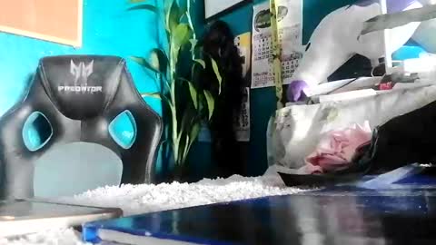 bheb_ji online show from February 2026 06:10:01 AM