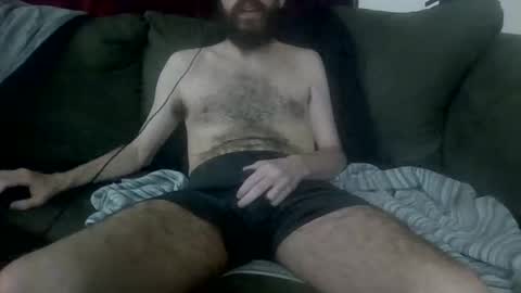 bibotguy online show from April 2026 02:53:02 AM