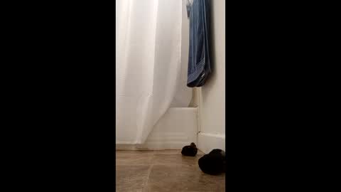 bibottom68942 online show from December 2025 12:24:02 PM