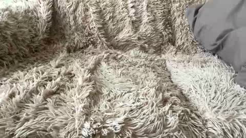 Big dick G online show from April 2026 12:27:01 PM