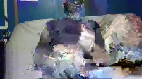 big9inchsnake online show from December 2024 10:20:01 PM