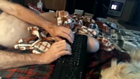 Snapshot of bigbenidick1 chatting on February 2025 04:29:01 AM BB online show from February 2025 04:29:01 AM