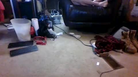 BB online show from March 2026 12:59:01 AM