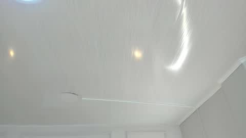   online show from November 2025 10:04:01 AM