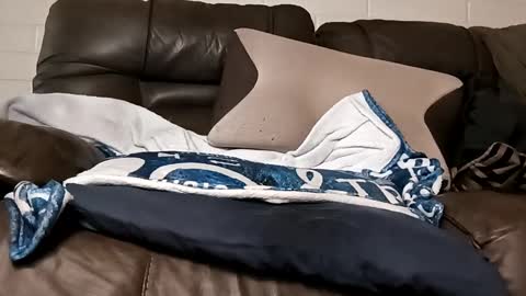 MassChub online show from March 2025 05:56:01 PM