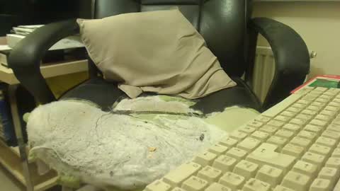 bigcurve online show from January 2025 08:21:01 PM