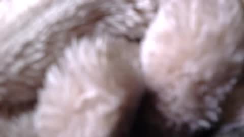 BigDad14140 online show from April 2026 09:51:02 AM