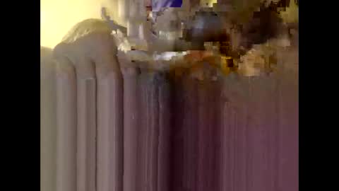 bigdaddydongarlets391292 online show from December 2025 11:30:02 AM