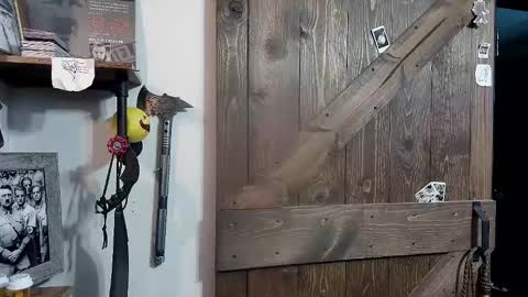 Snapshot of bigdbrillion chatting on February 2025 04:23:01 AM Darryl online show from February 2025 04:23:01 AM