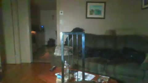 Snapshot of bigdeer581917471 chatting on February 2025 08:08:01 AM bigdeer581917471 online show from February 2025 08:08:01 AM