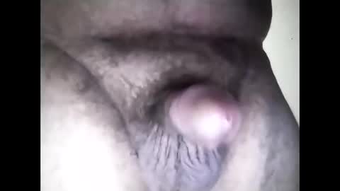 bigdforfun2nite online show from February 2026 12:59:02 AM