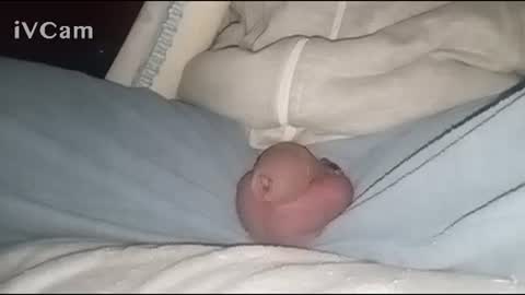 Big online show from February 2025 04:05:01 AM