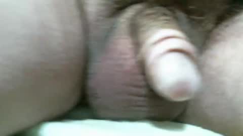Snapshot of bigdoglog chatting on November 2025 07:03:02 PM BigDog online show from November 2025 07:03:02 PM