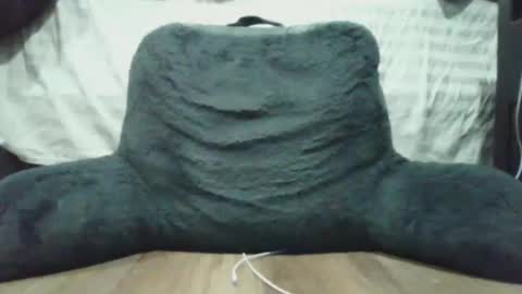 bigdyllpickle online show from January 2026 02:47:01 AM