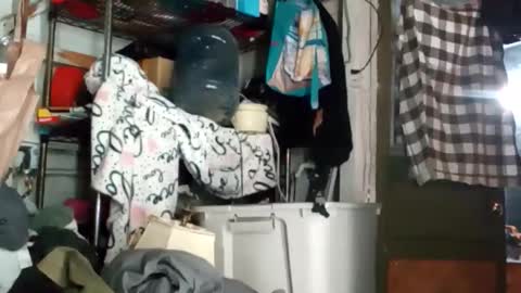 bigmanaround9 online show from October 2025 09:08:01 AM