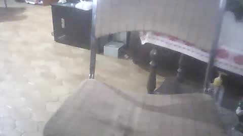 bigpenix online show from April 2026 01:39:01 AM