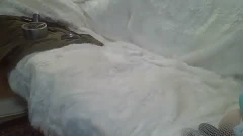 ...... online show from December 2024 05:29:02 AM