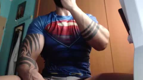 BigStallion online show from November 2025 12:02:01 AM