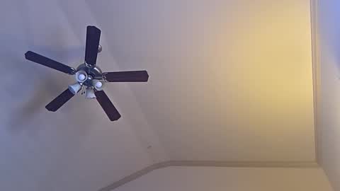 bigswoletroll online show from March 2026 07:31:02 PM