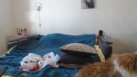 BigTwinsOmg online show from March 2026 07:36:02 AM