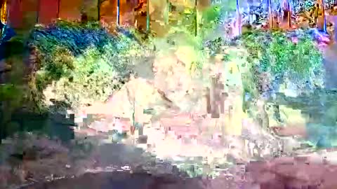 Snapshot of bigwytecock1979 chatting on December 2024 01:24:01 PM bigwytecock1979 online show from December 2024 01:24:01 PM