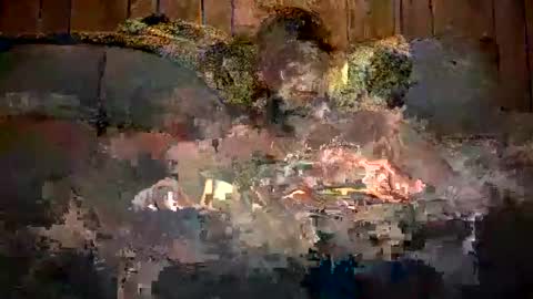 Snapshot of bigwytecock1979 chatting on December 2024 07:31:01 AM bigwytecock1979 online show from December 2024 07:31:01 AM