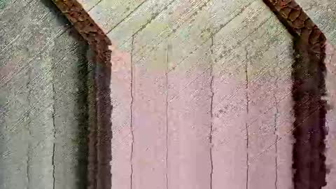 Snapshot of bigwytecock1979 chatting on December 2024 04:30:01 PM bigwytecock1979 online show from December 2024 04:30:01 PM