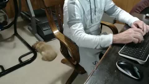 billy471 online show from January 2025 10:11:02 PM