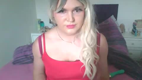 Birdi online show from September 2025 11:54:01 AM