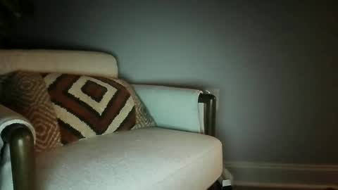 bisfurbear online show from February 2026 08:36:01 AM