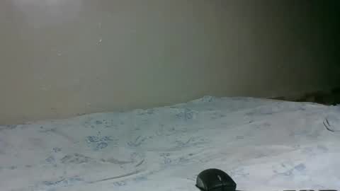 bitchcam_ online show from November 2025 09:06:01 PM