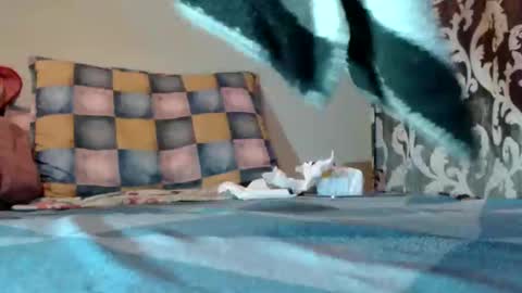 if you love pussy give 1 token - im a poor girl any token counts-my shop video pussy  virgina  hairy pussy 1 token online show from March 2025 09:07:02 PM